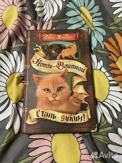 Книги коты воители стань диким