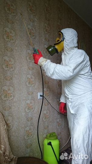 Уничтожение тараканов, клопов, мух, мышей, крыс