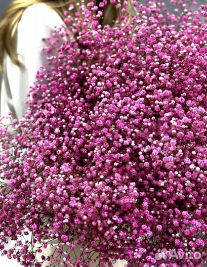 Гипсофила букет из гипсофилы с доставкой