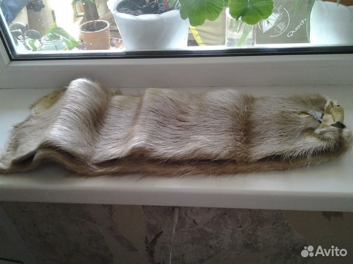 Шкурки нутрии