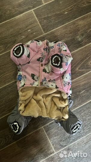 Одежда для собак