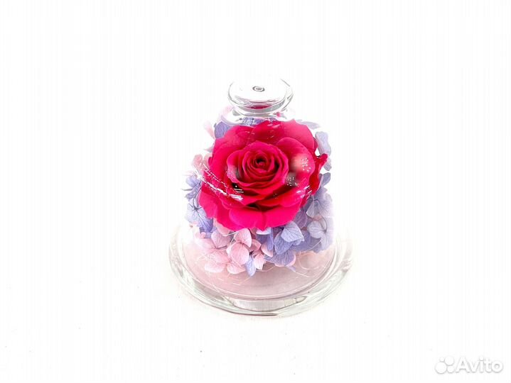 Композиция в лимоннице Стабилизированные цветы