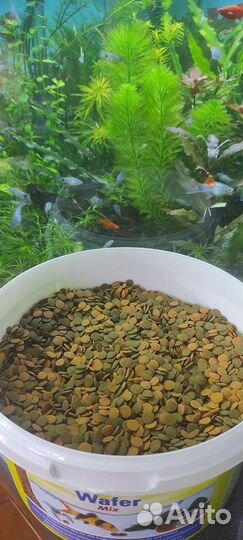 Корм для аквариумных рыб Tetra, трубки для сомов