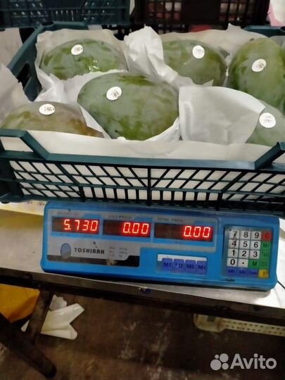 Продам манго из Египта
