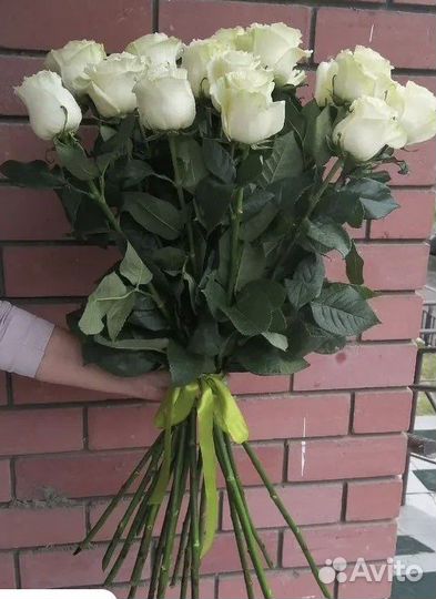Роза 70 см иркутск доставка