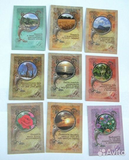 Сокровищница жизненных сил Зинкевич-Евстигнеева