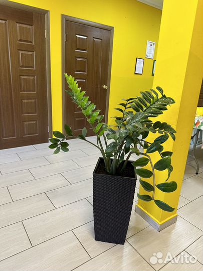 Студия на детские праздники