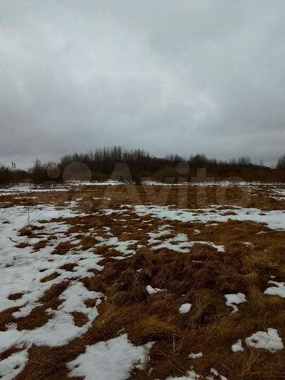 Участок 15 сот. (ИЖС)