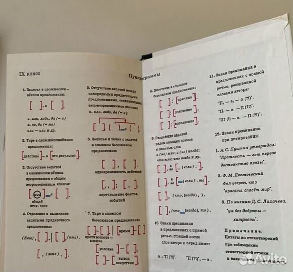 Руский язык 8 9 класс Практика и Теория Пичугов