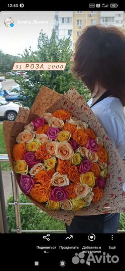 101 роза за 4500, 51 за 2500