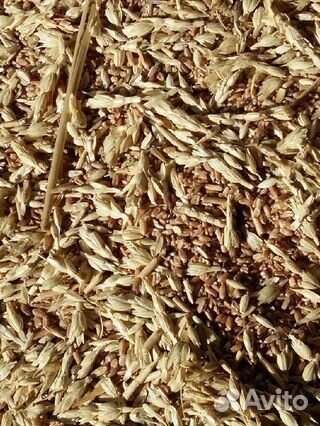 Пшеничные отходы