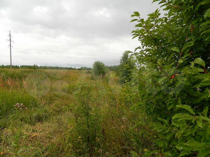 Участок 23 сот. (ИЖС)