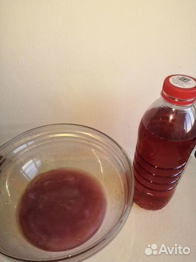 Чайный гриб комбуча и для детей