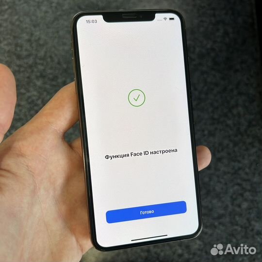 iPhone Xs Max 256Gb