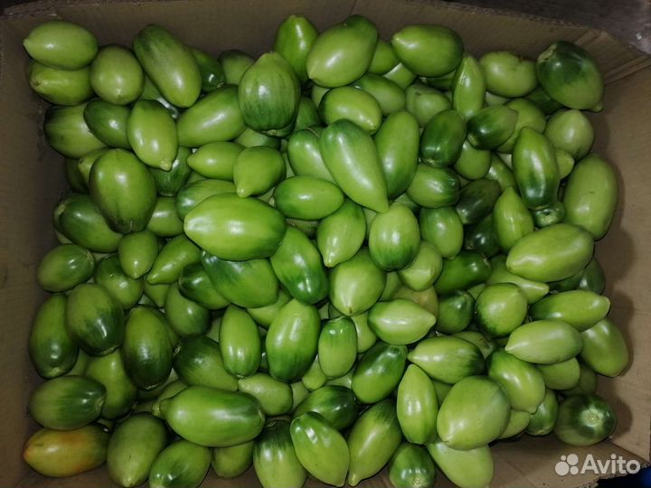 Помидоры домашние