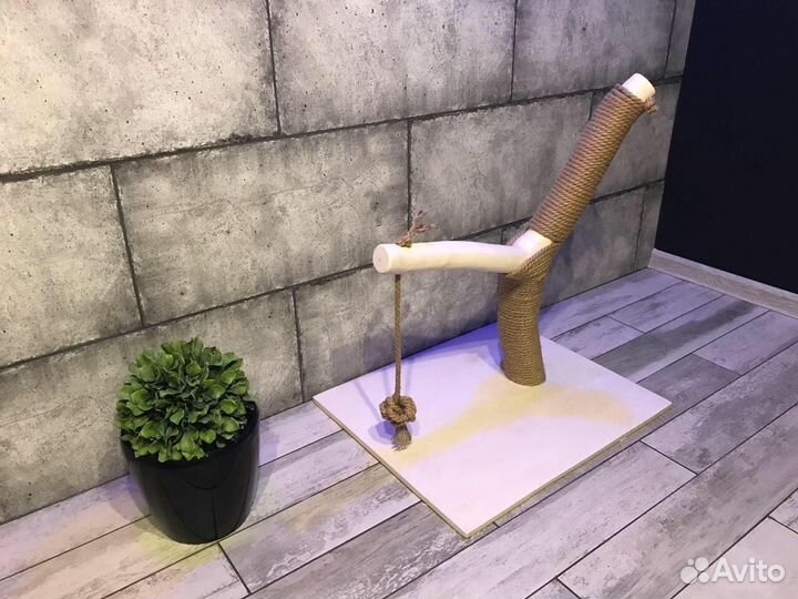 Когтеточка