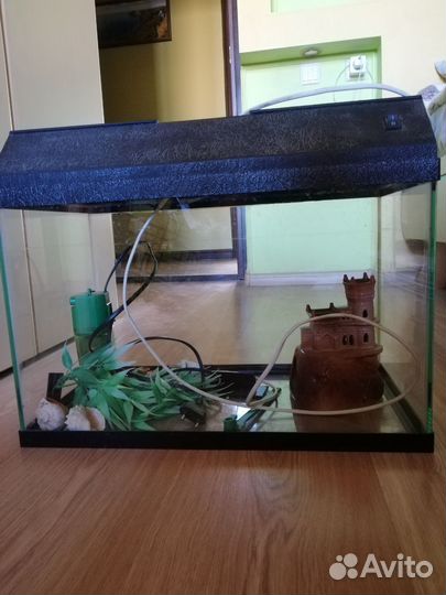 Аквариум