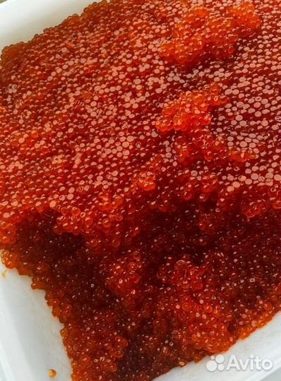 Оптом икра нерки улов 23 год