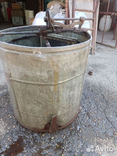 Медогонка бу