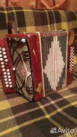 Гармошка и баян с регистрами