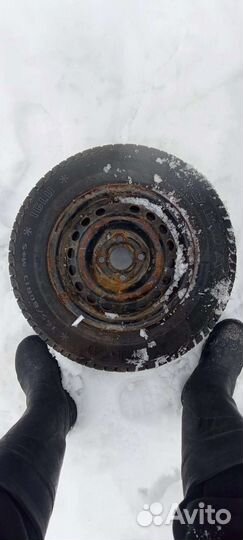 Fulda Kristall Iglu 165/80 R13