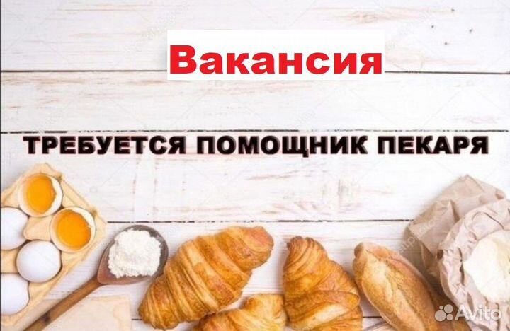 Помощник пекаря оплата каждый день