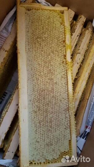 Горный мёд,майский,рамки,соты разнотравье мед