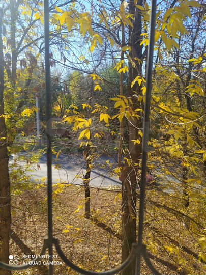 Офисы 20 метров Нагорная/Кирова