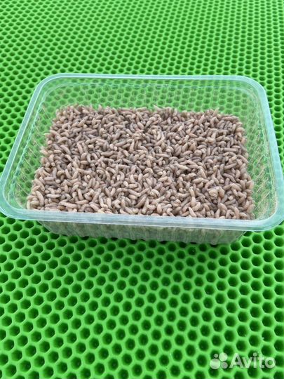 Опарыш оптом