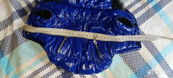 Одежда для маленьких собак xs