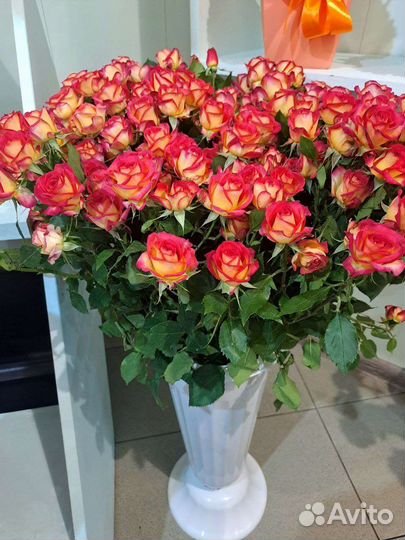 Роза 80см Кустовая Эквадор