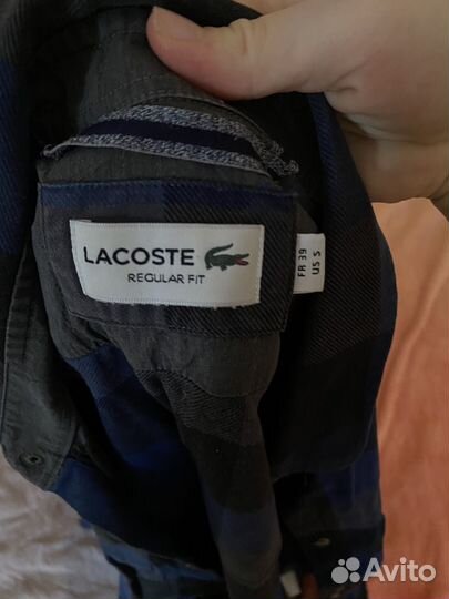 Рубашка мужская lacoste