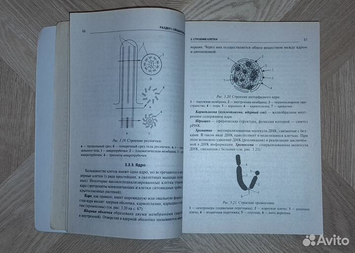 2023 г. Биология. Большой справочник. ЕГЭ и ОГЭ