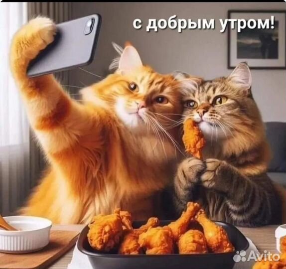 Корова дойная