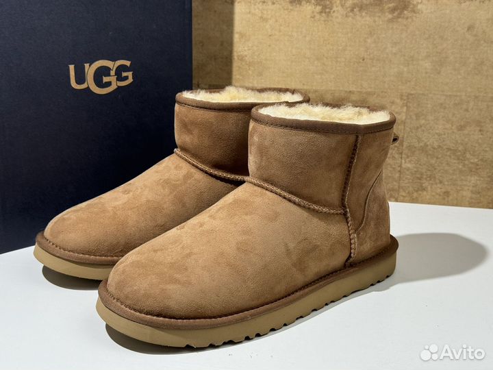 Ugg Mens Classic Mini II Chestnut