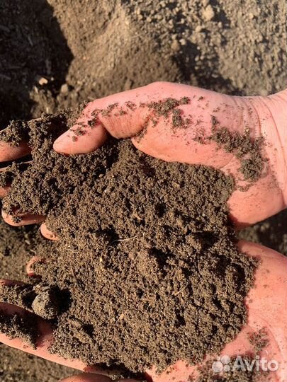 Перегной коровьего навоза в мешках (25 литров)