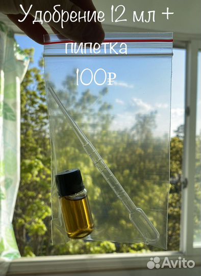 Тетраселмис