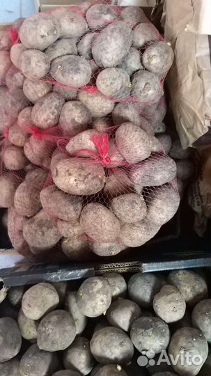 Корм для животных