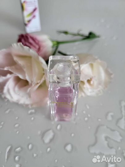 Миниатюра Moment de Bonheur YR снятость 3 из 5мл