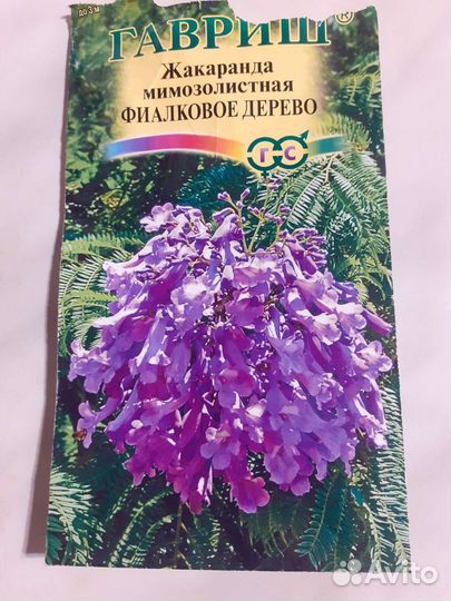 Комнатные растения