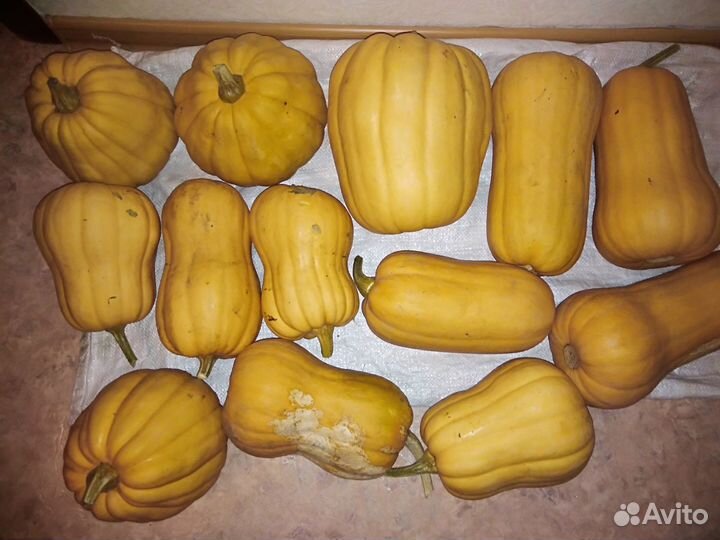 Продам тыкву