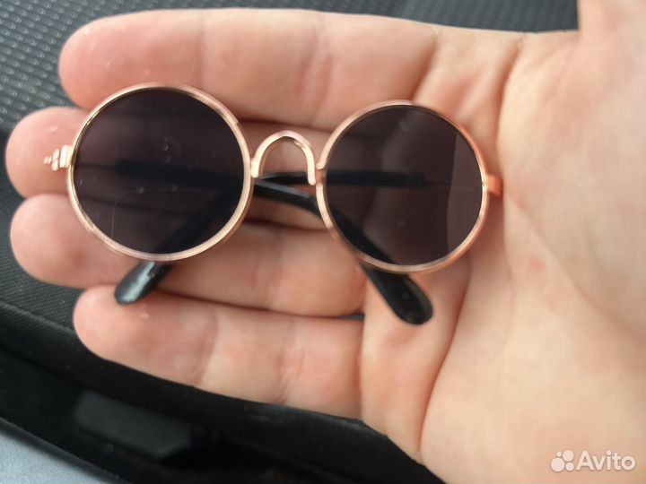 Очки для собаки