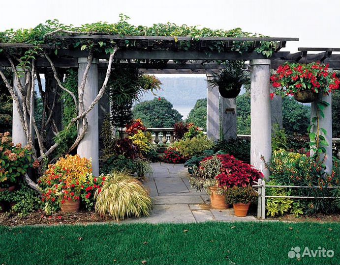 Колонна римская архитектурная входная группа