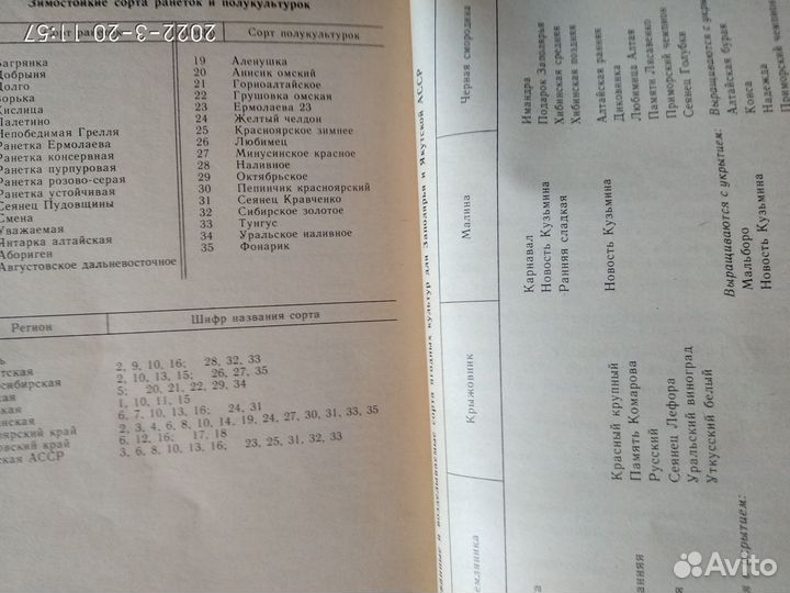 Погода, огород и сад любителя