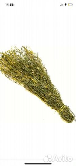 Донник пучки для бани