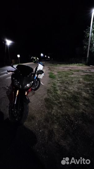 Falcon Speedfaer 250 sport