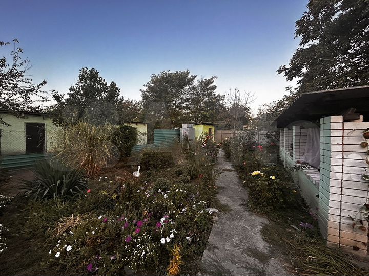 Дом 48 м² на участке 65 сот.