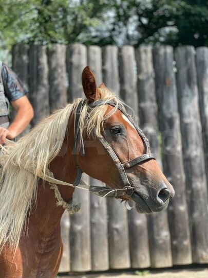 Дом 25 м² на участке 20 сот.