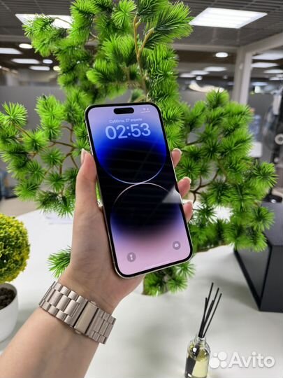 iPhone 14, 256 ГБ