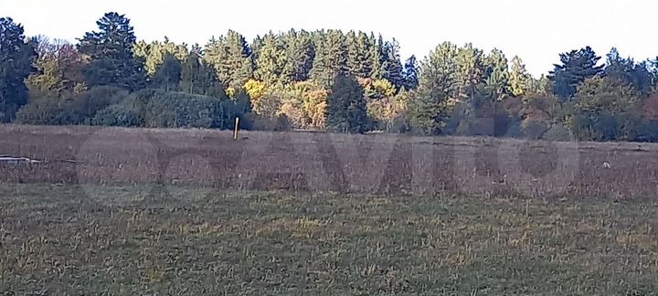 Участок 15 сот. (ИЖС)